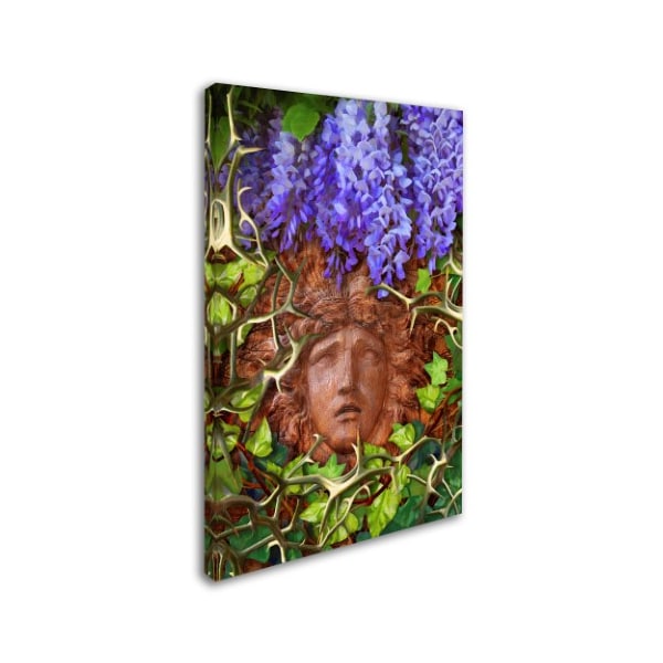 Tina Lavoie 'Secret Garden' Canvas Art,22x32